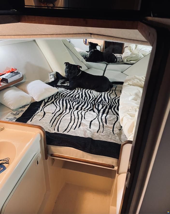 Bertram Moppie 28