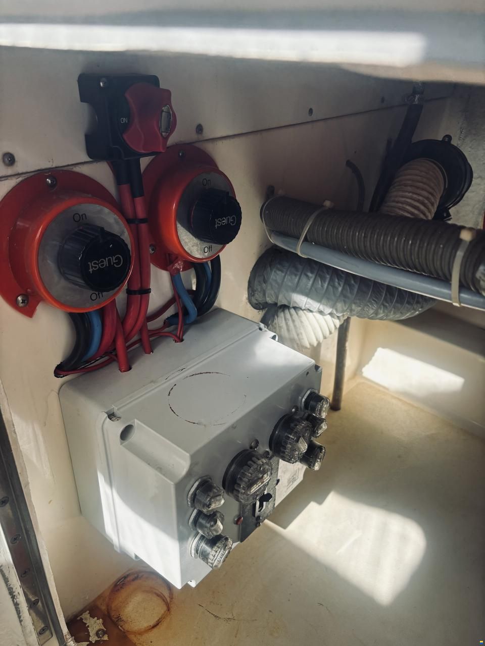 Bertram Moppie 28