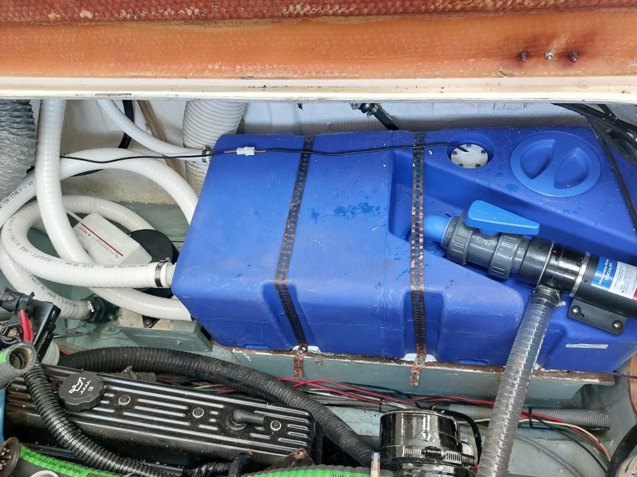 Bertram Moppie 28