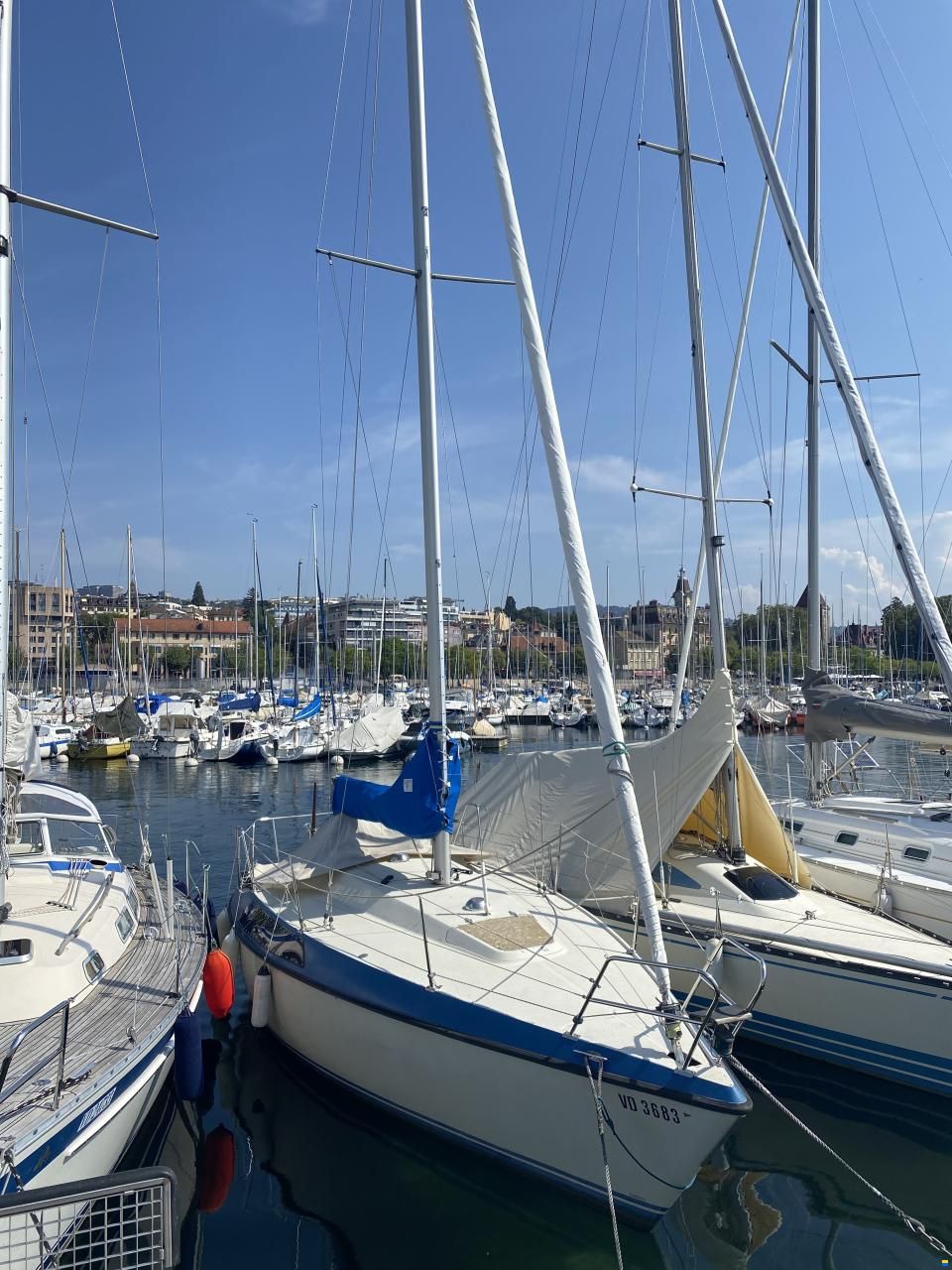 Pelle Peterson Maxi 87