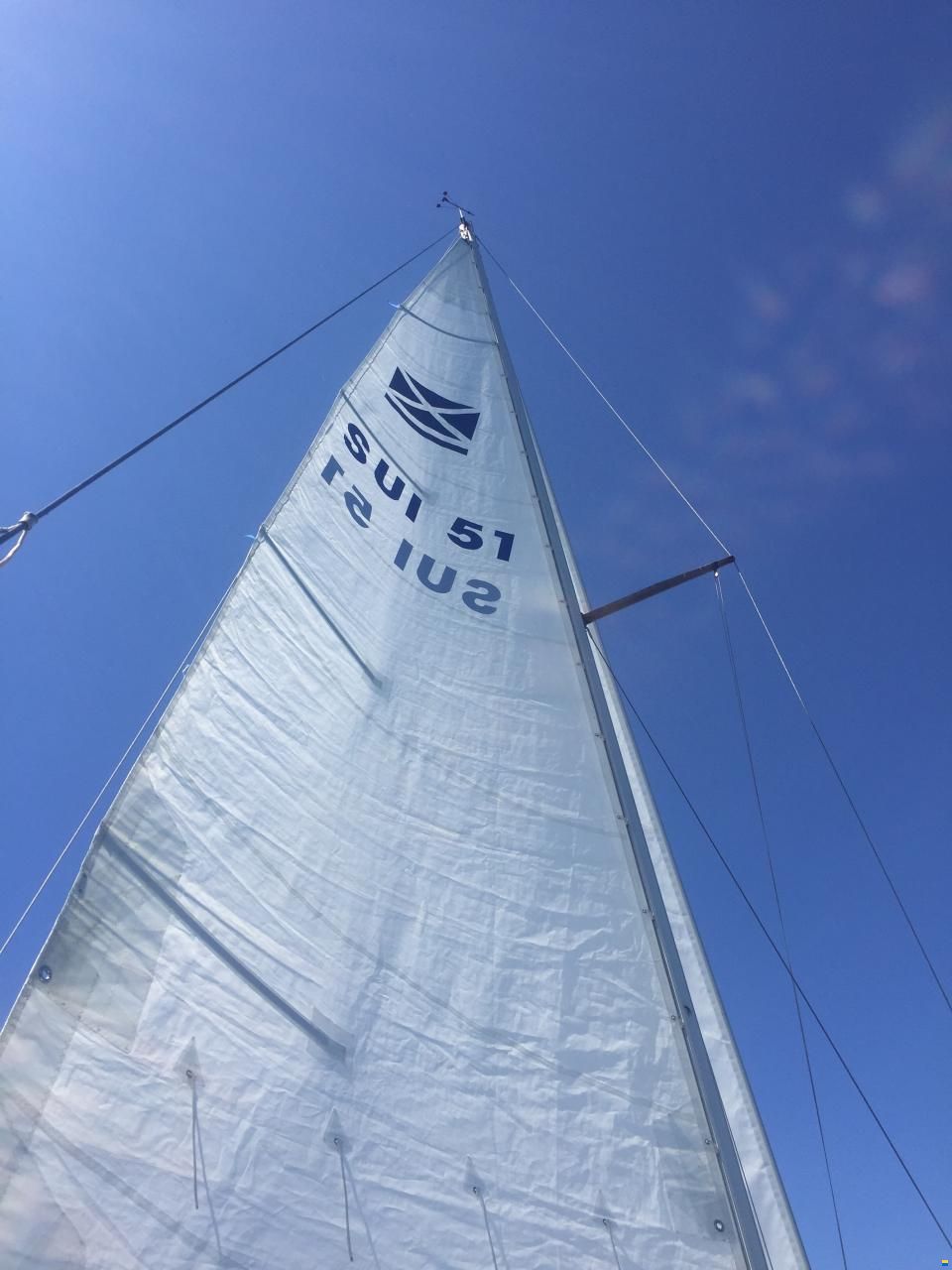 Pelle Peterson Maxi 87