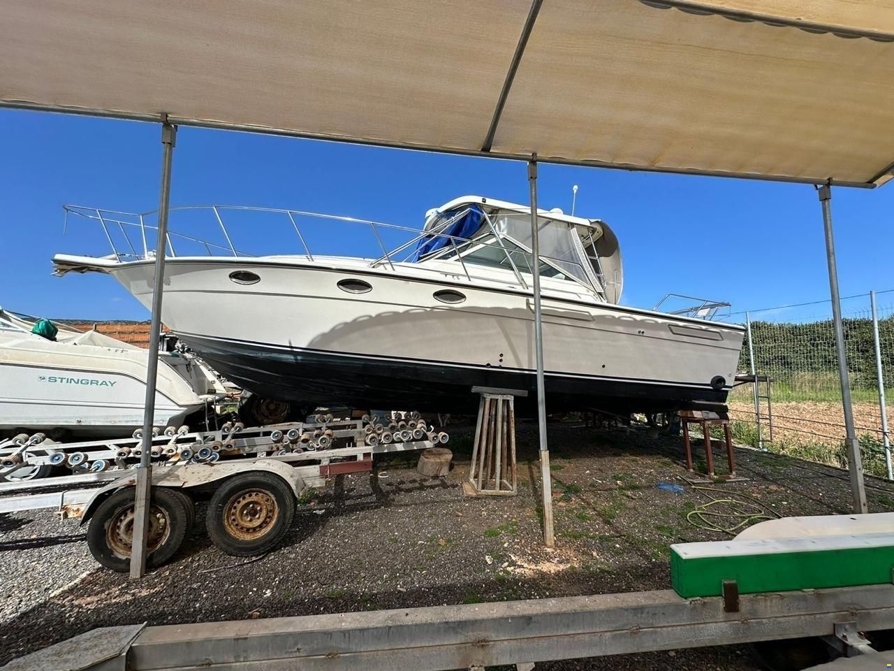 Tiara 3100
