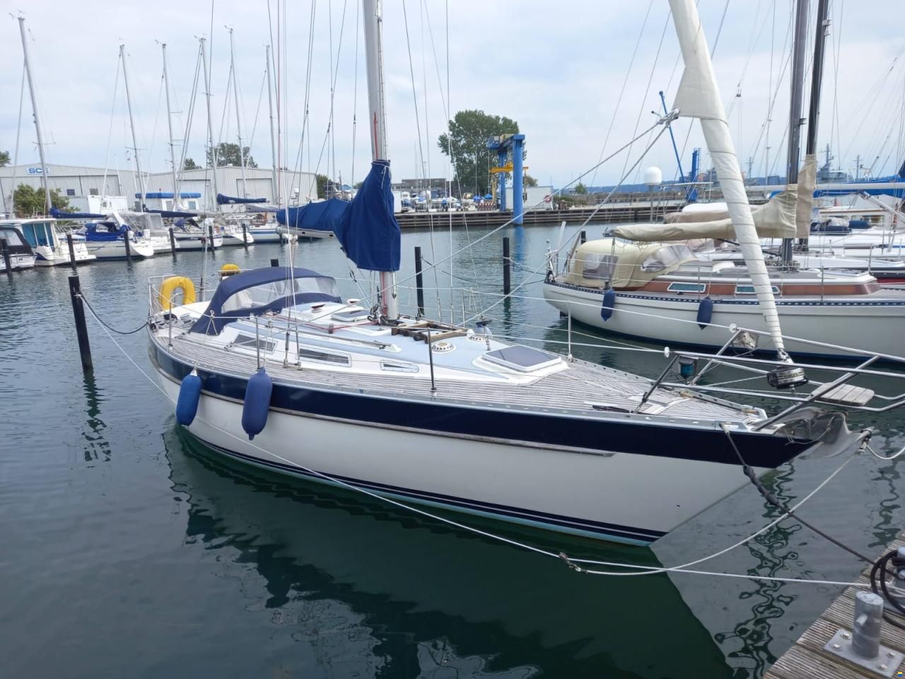 Wauquiez Gladiateur 33
