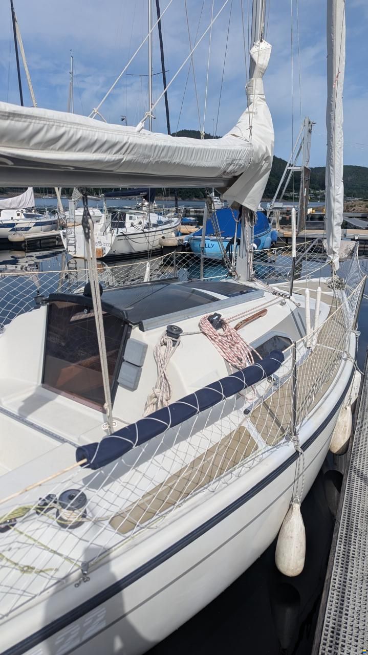 Dehler 22