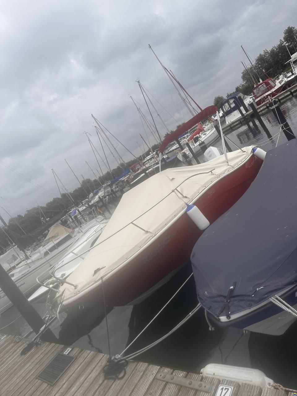 Allegra All 21 Sun