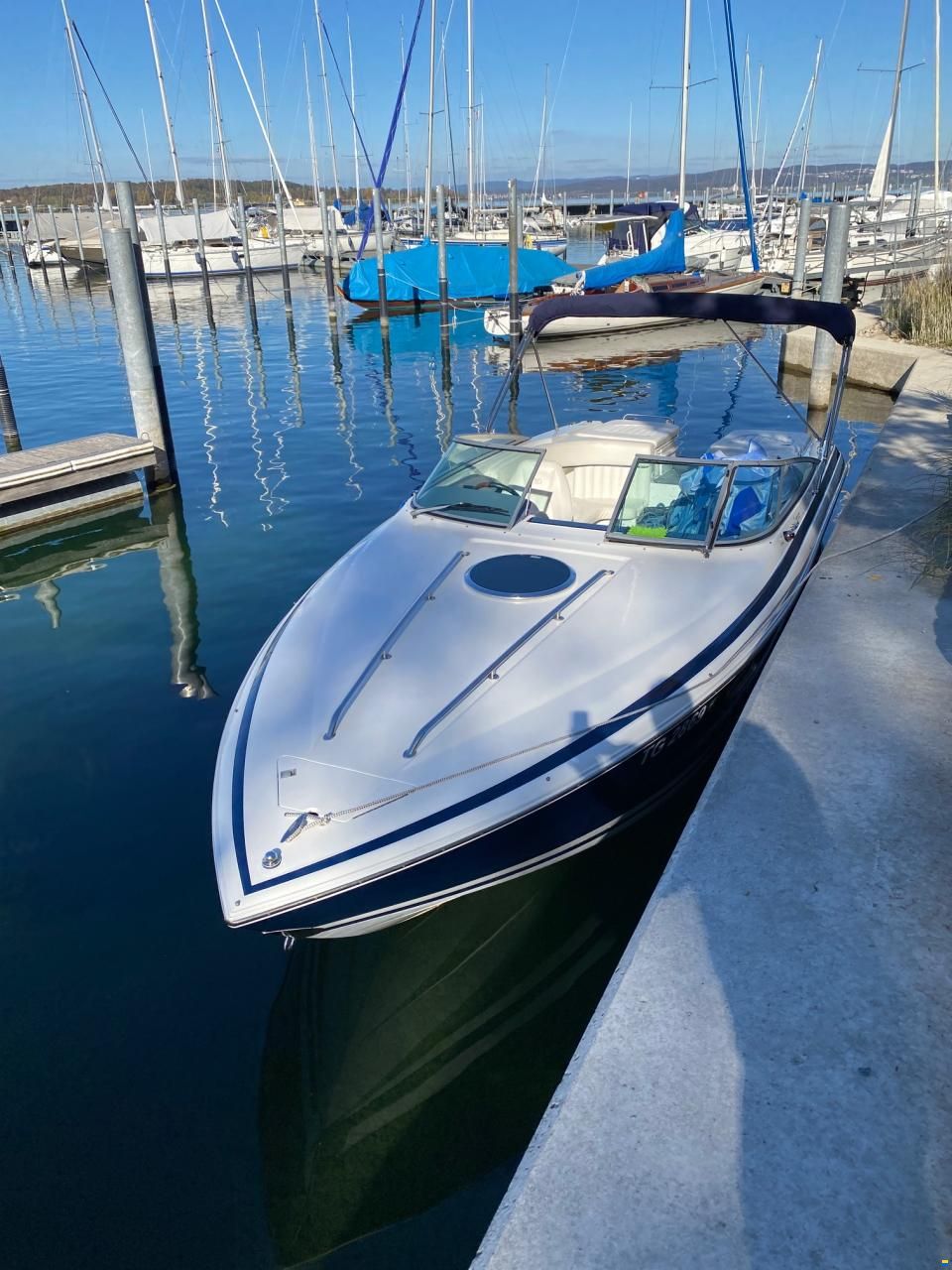 Cobalt 263 Cuddy Cabin