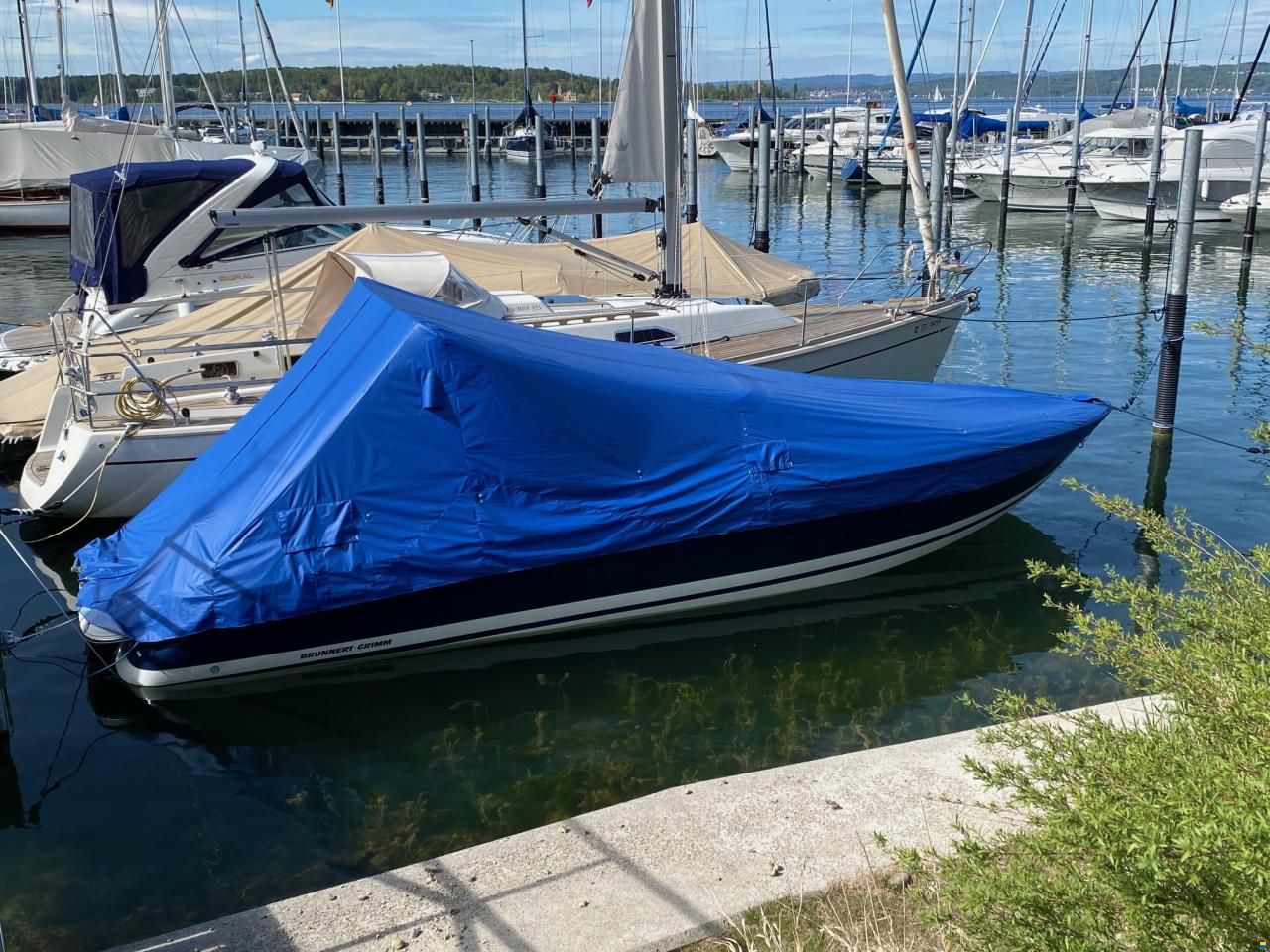 Cobalt 263 Cuddy Cabin