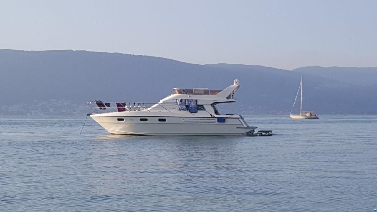 Schachner Flagship 40