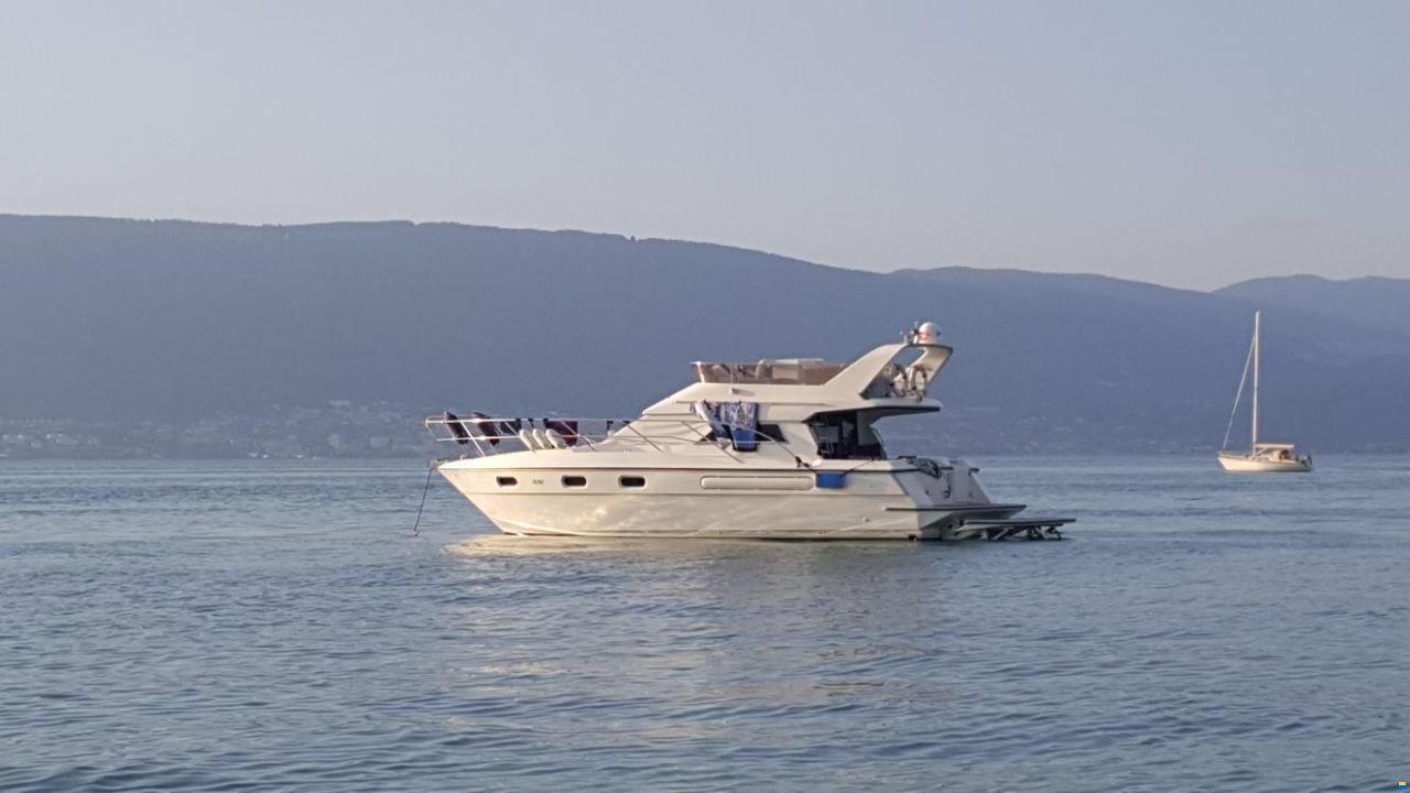 Schachner Flagship 40