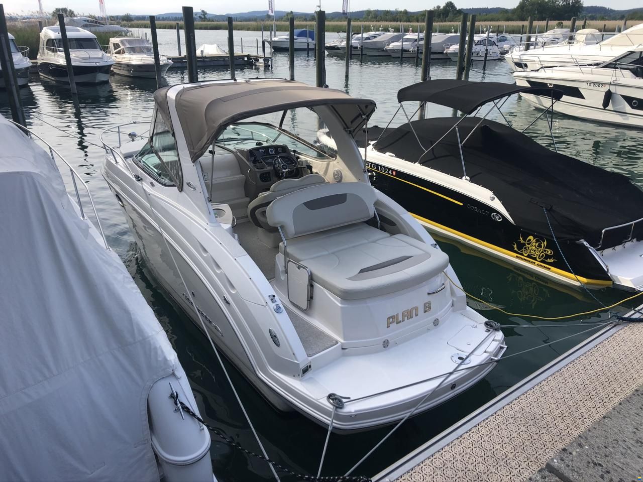 Chaparral 250/270 Signature