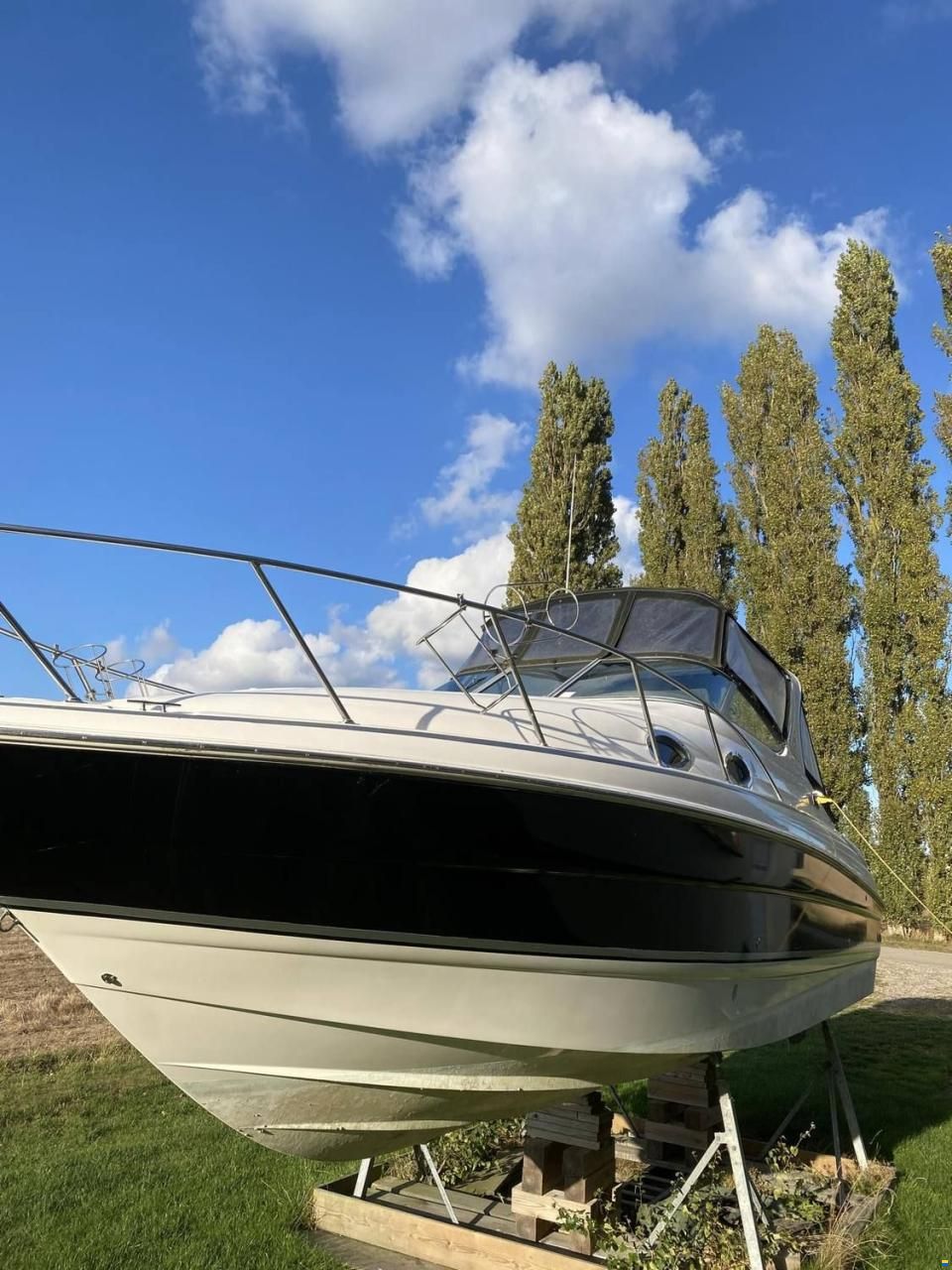 Larson 290 Cabrio