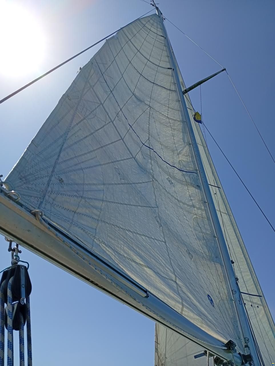 Wauquiez Gladiateur 33
