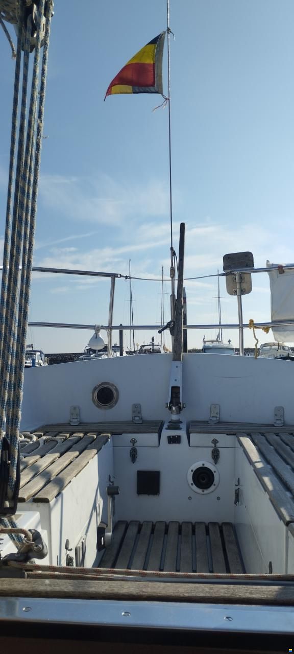 Wauquiez Gladiateur 33