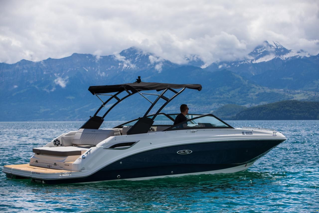 Sea Ray SDX 250