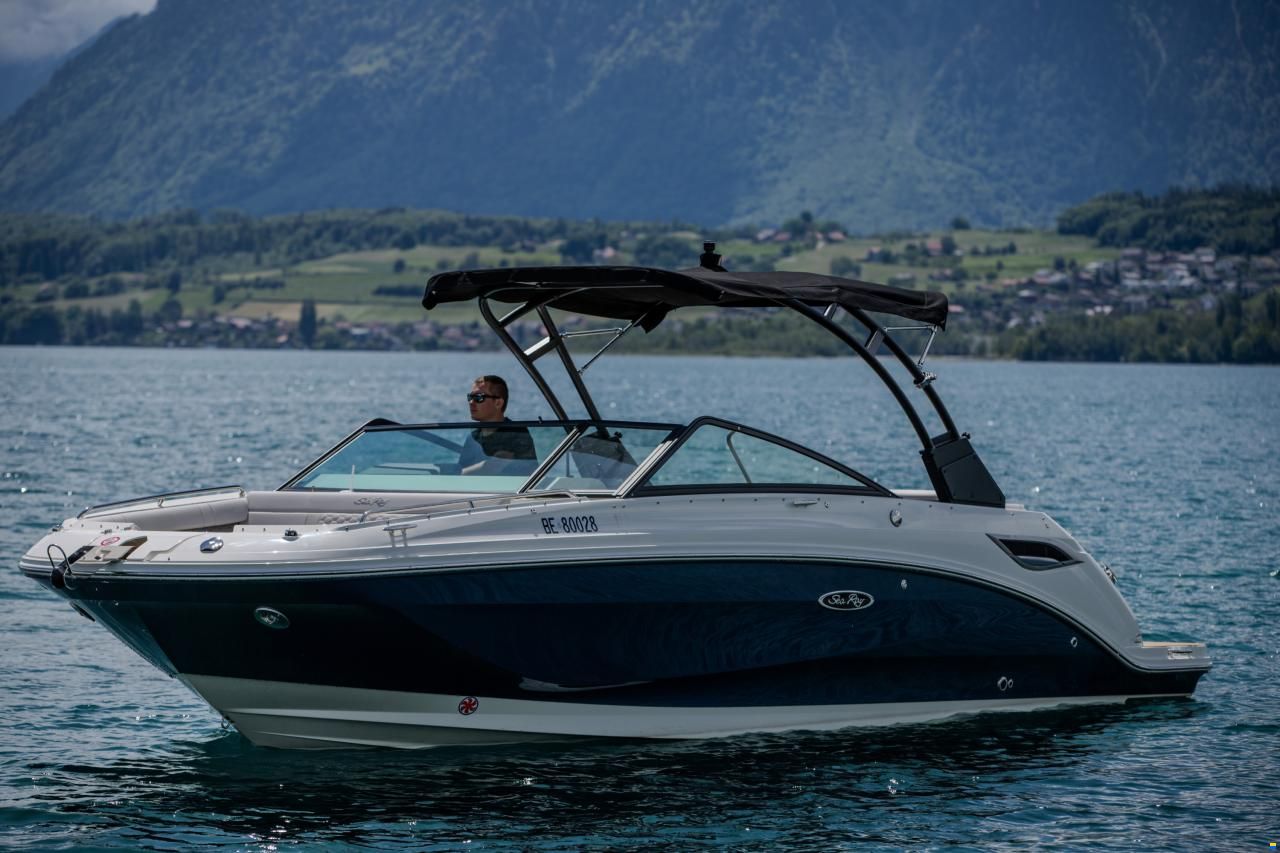 Sea Ray SDX 250
