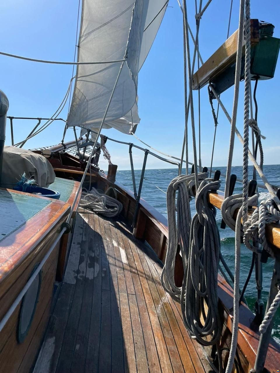 Galeas 35