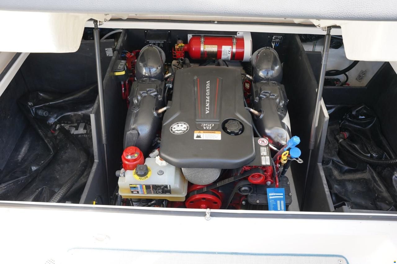 Regal LS 4 SURF
