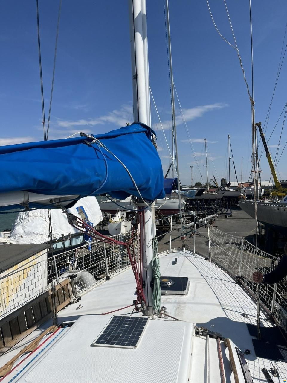 Mako Sailer New Ranger