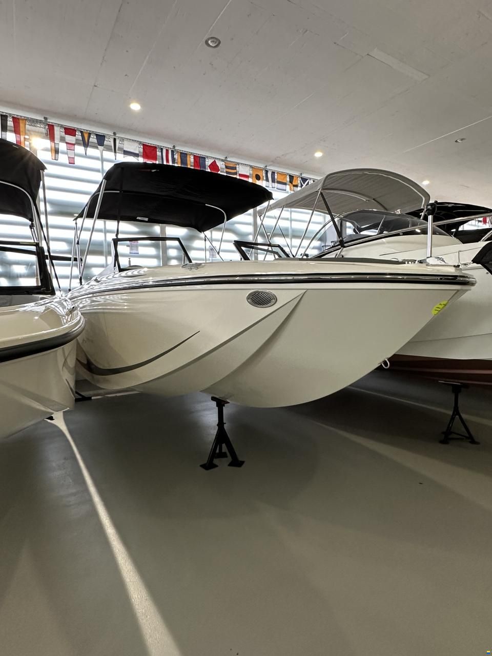 Bayliner Element M19