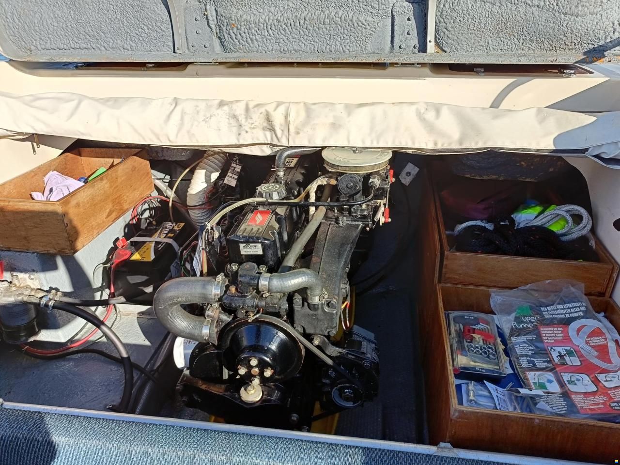 Starcraft American 18