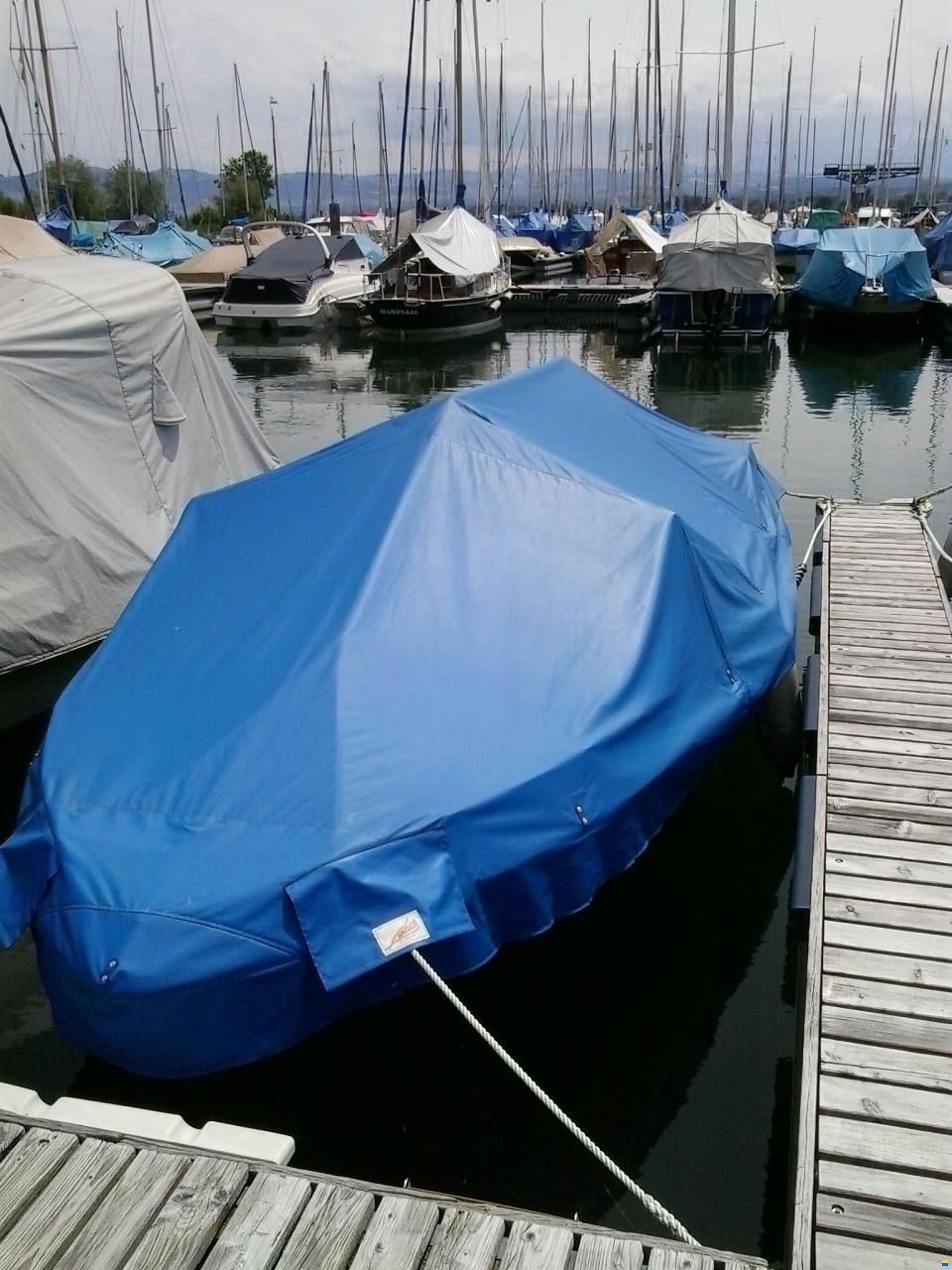 Starcraft American 18