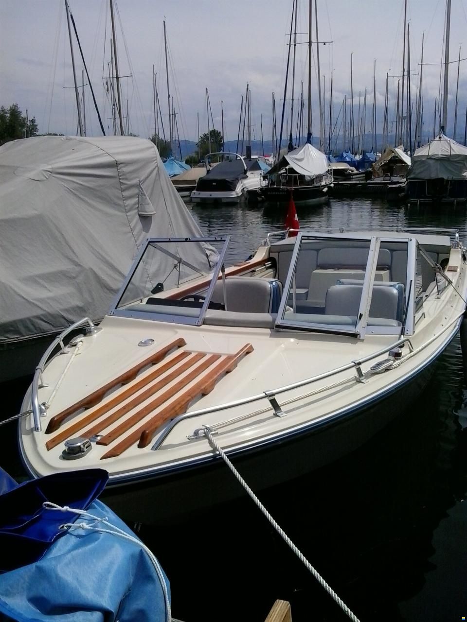 Starcraft American 18