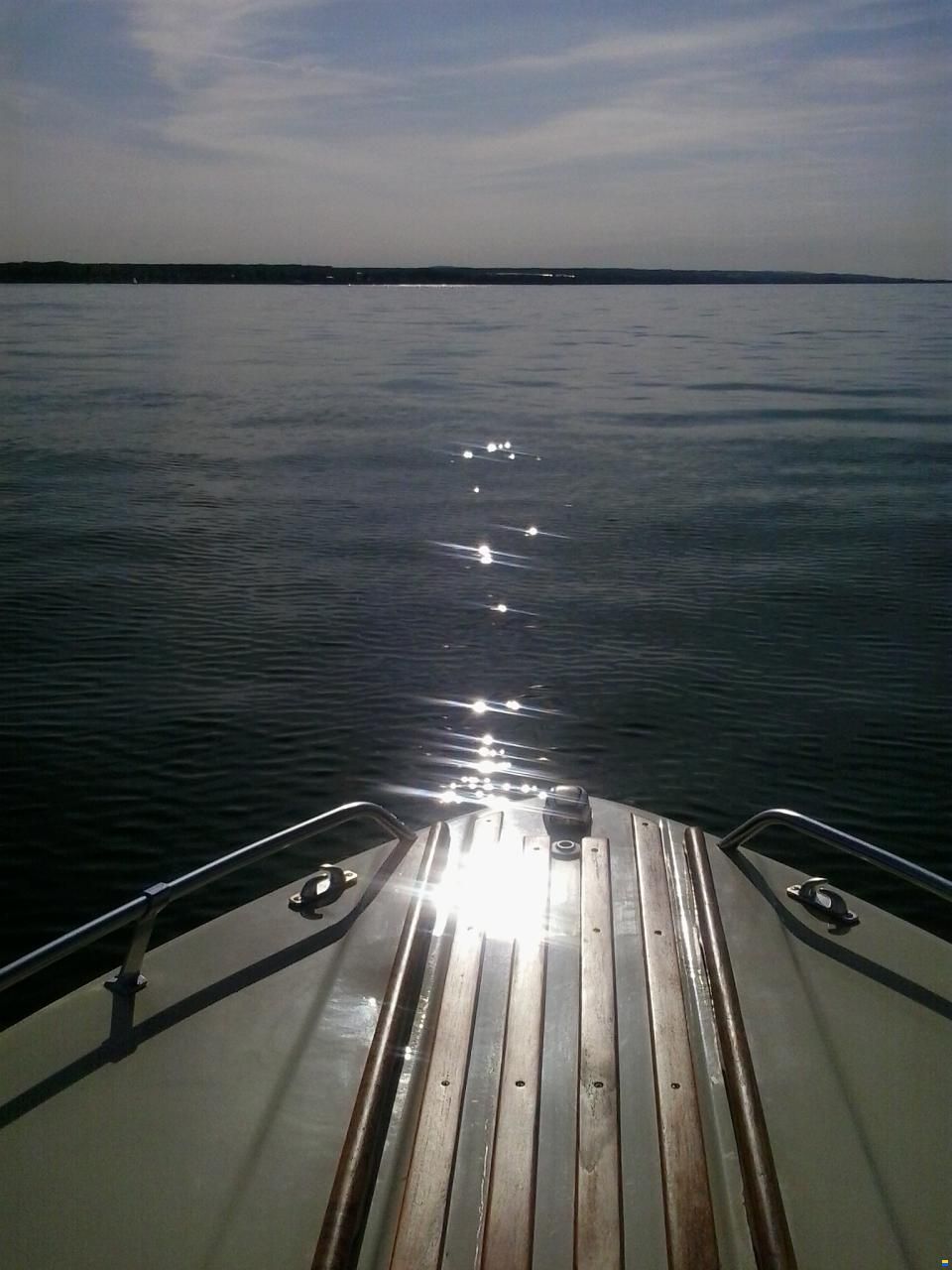 Starcraft American 18