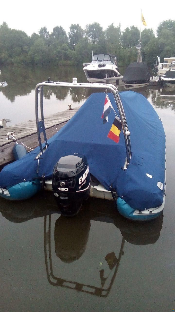 Stingher Predator
