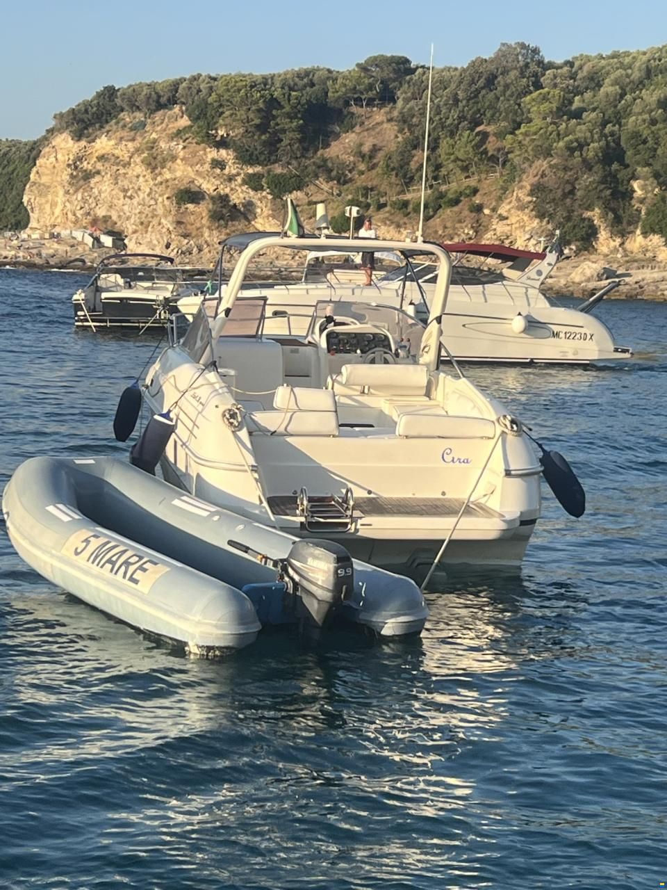Fiart 28 Genius