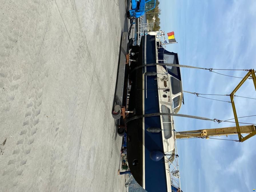 Cruiser