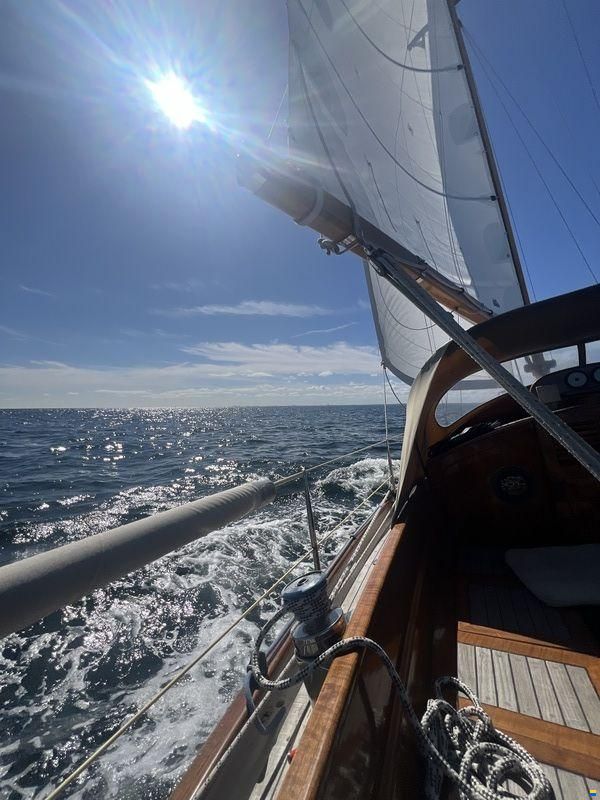 Carena 35