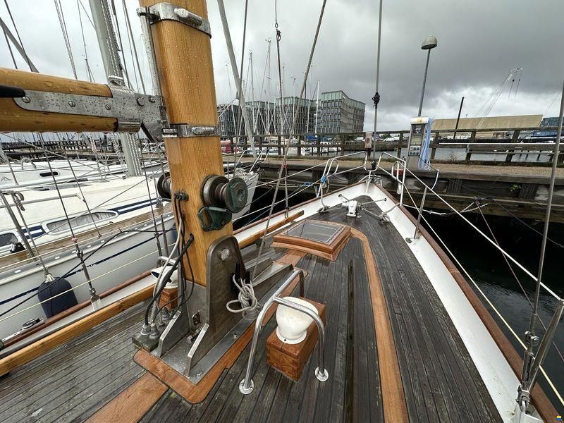 Carena 35