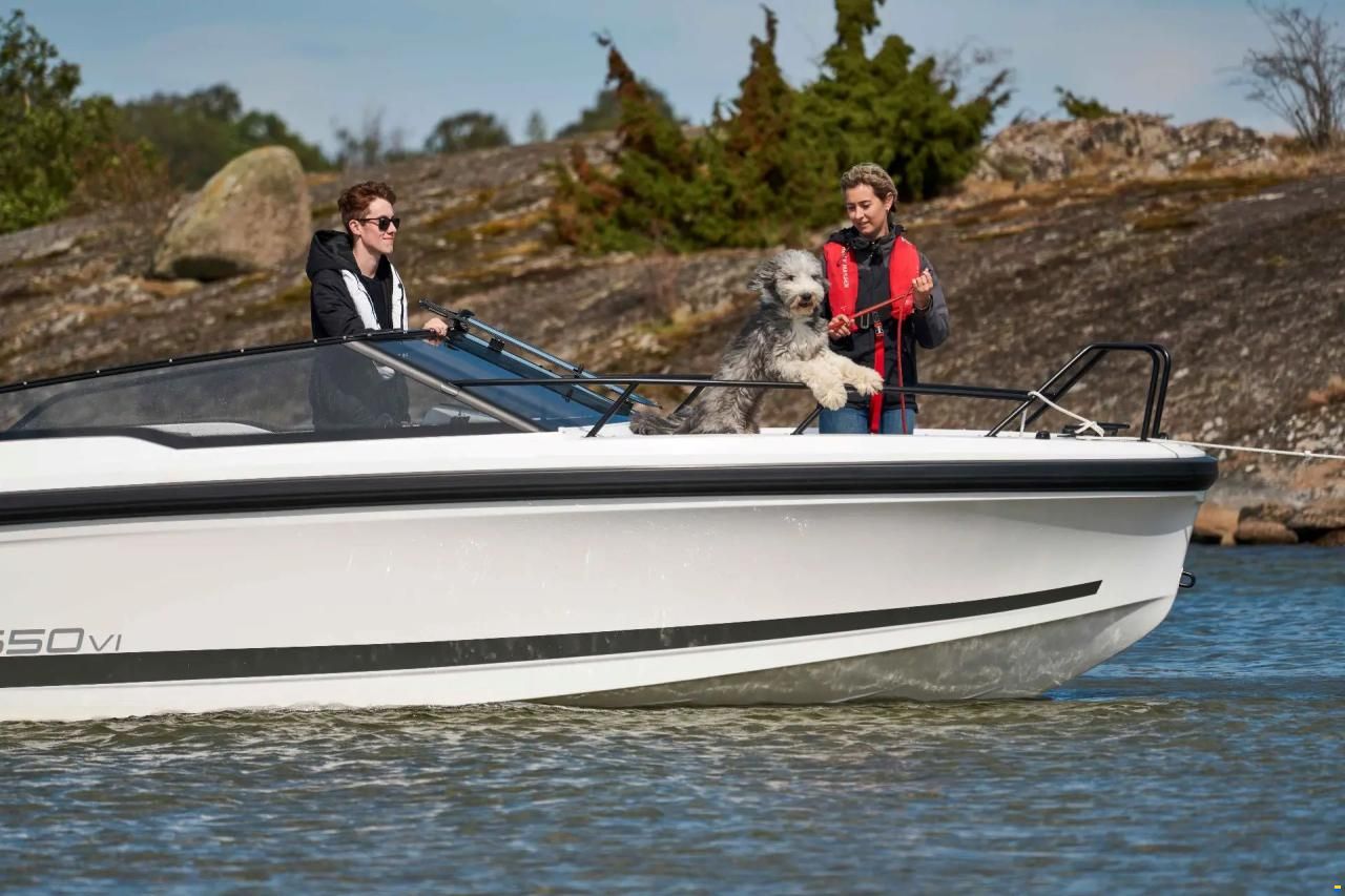 Ryds 650VI BR