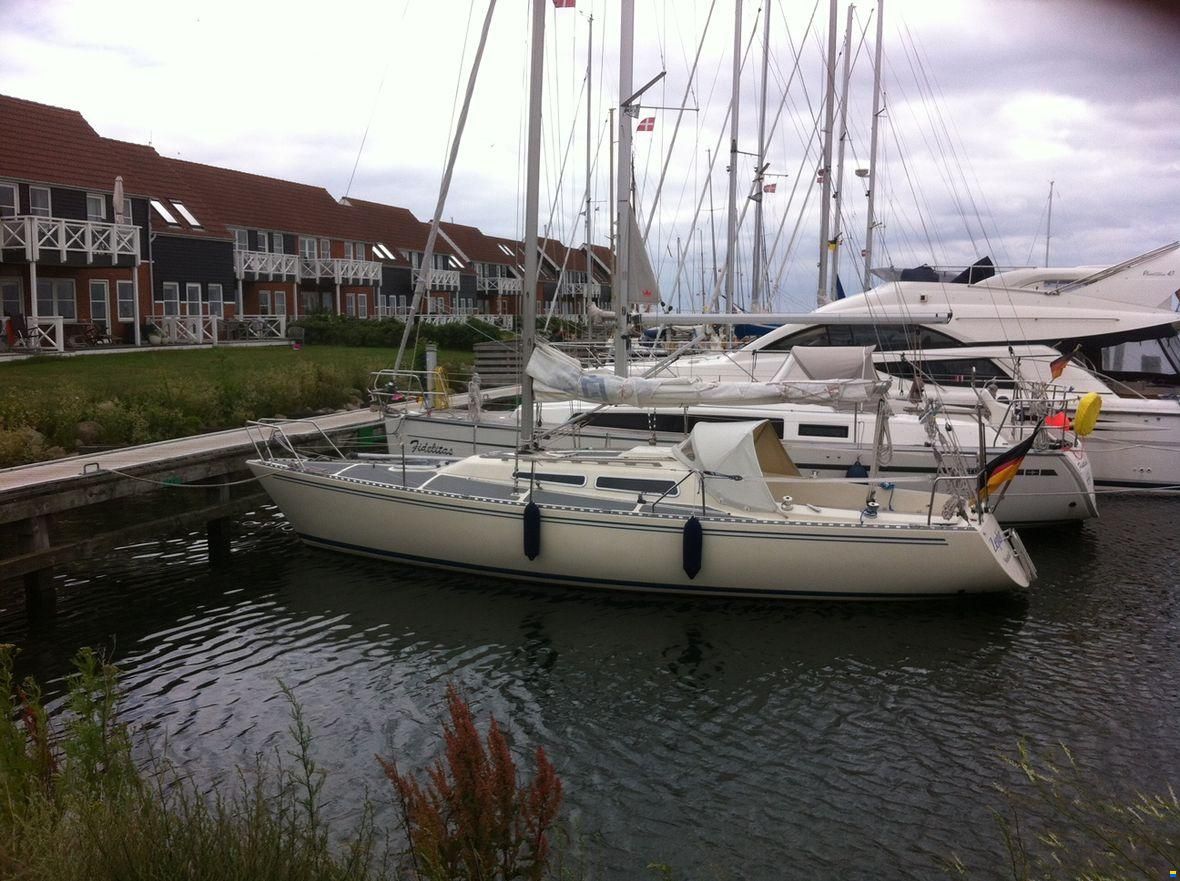 Larsen 28