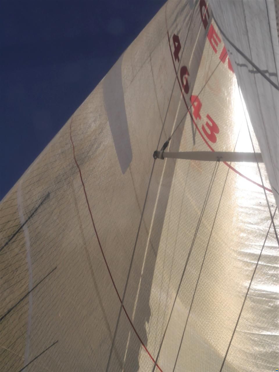 Helmsman 43