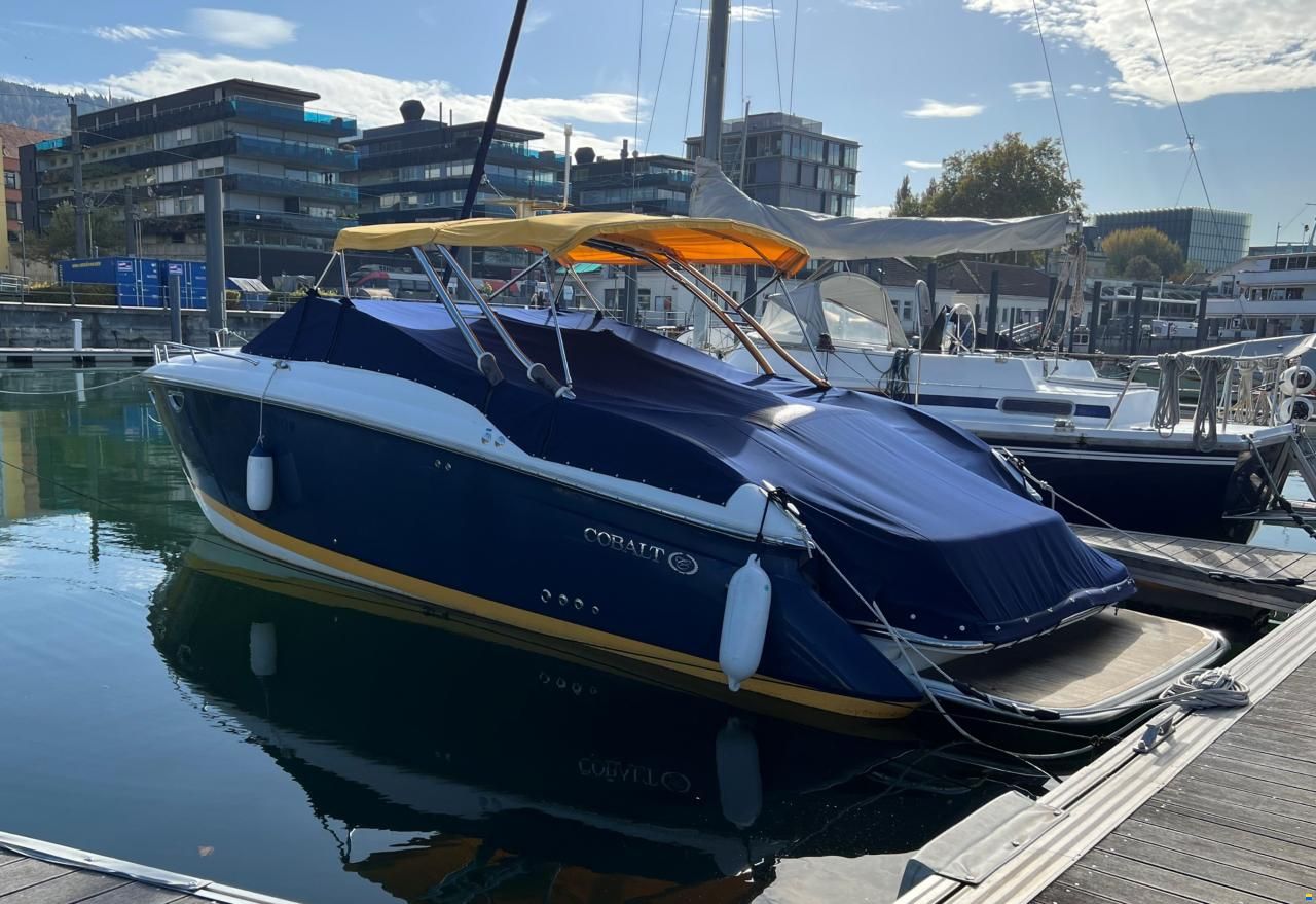 Cobalt 323