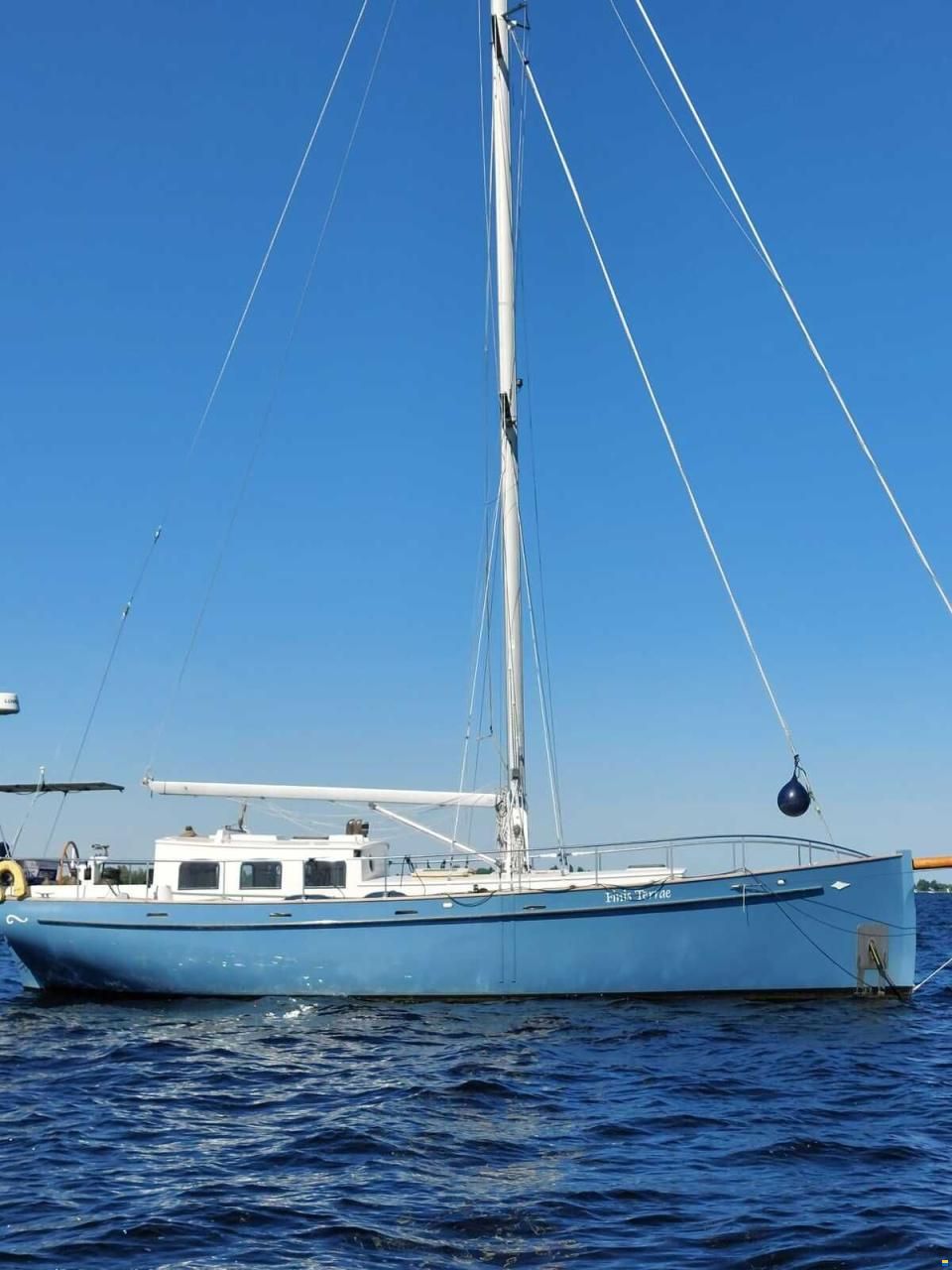 Puffin 42