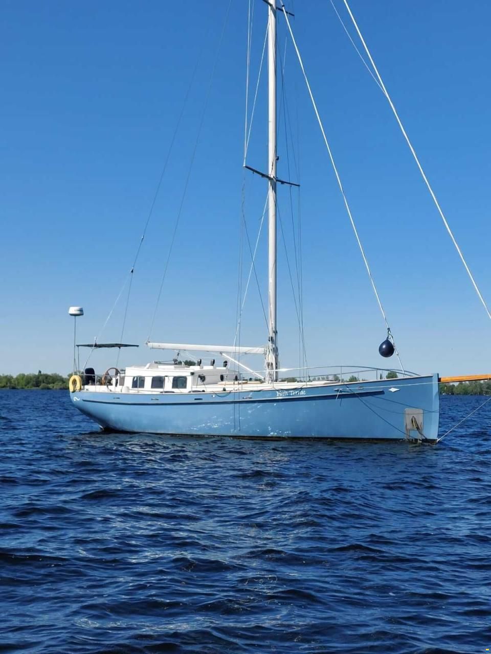 Puffin 42