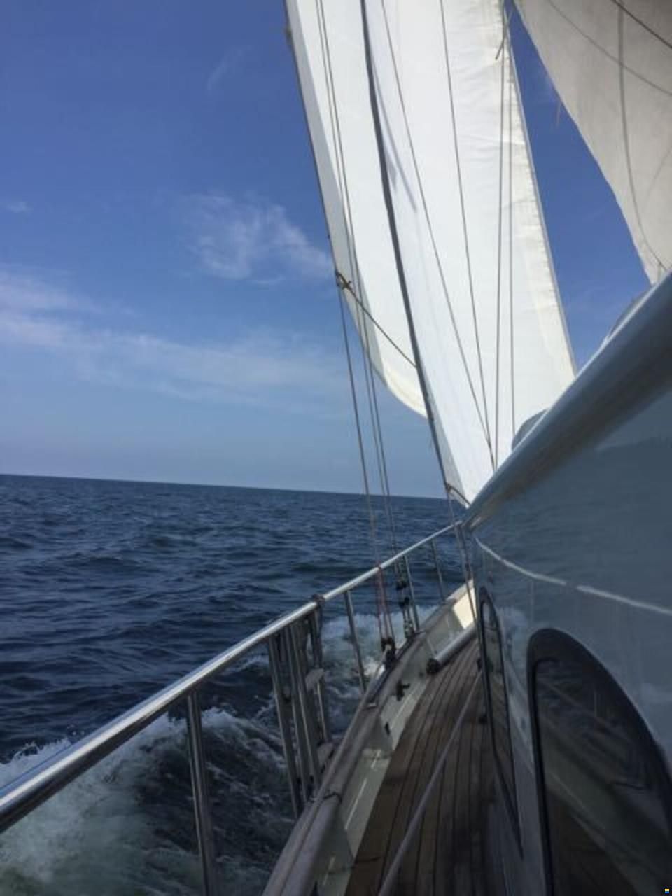 Puffin 42