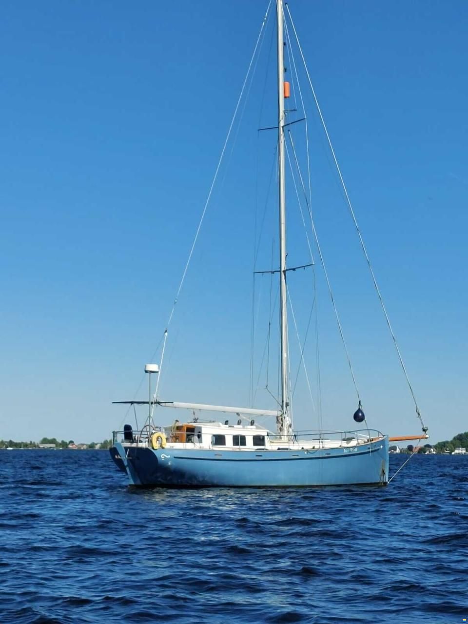 Puffin 42