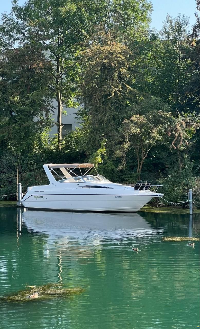 Wellcraft Excel 26se