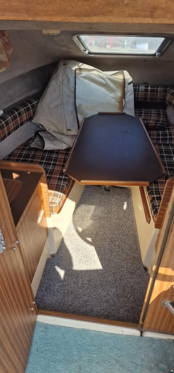 Sealine Conti 600