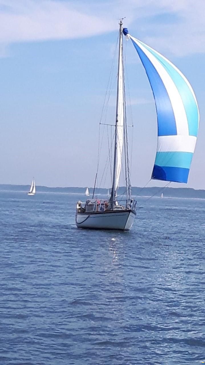 Baltika 10,40 m Decksalon Segelyacht