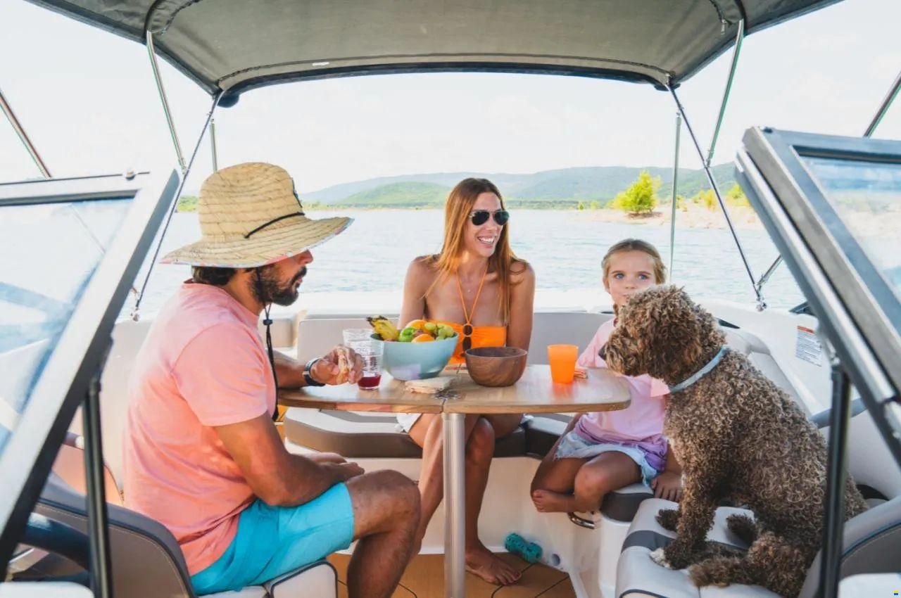 Bayliner V20I