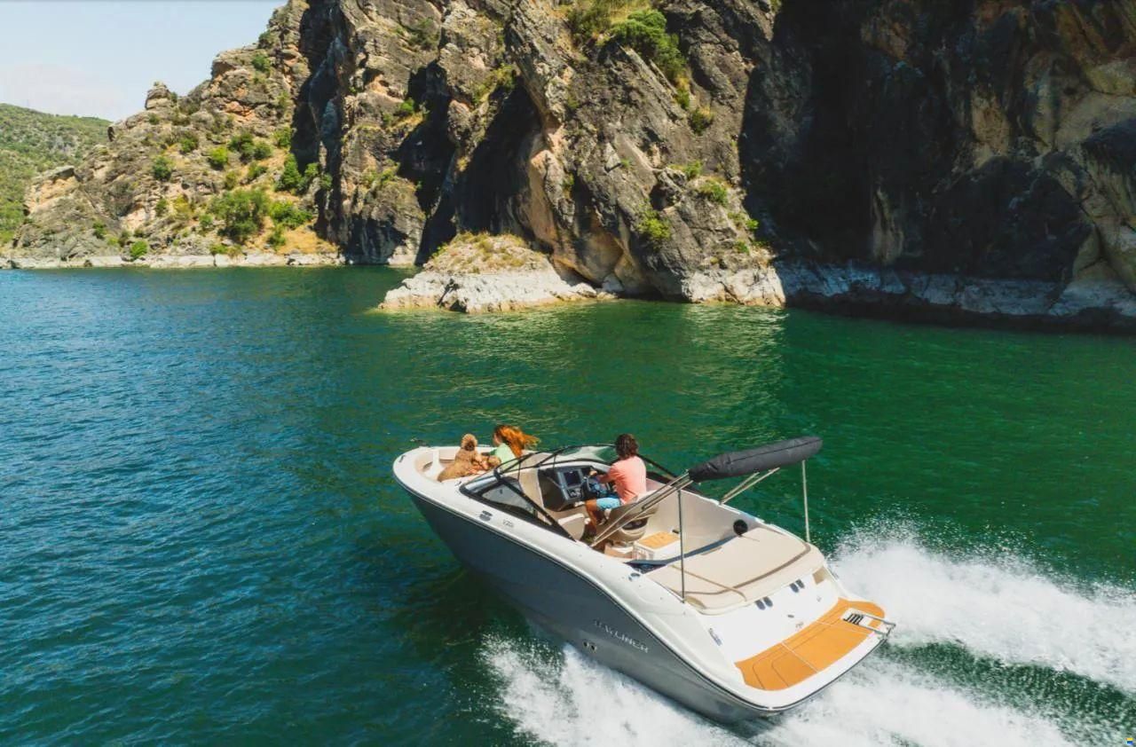Bayliner V20I