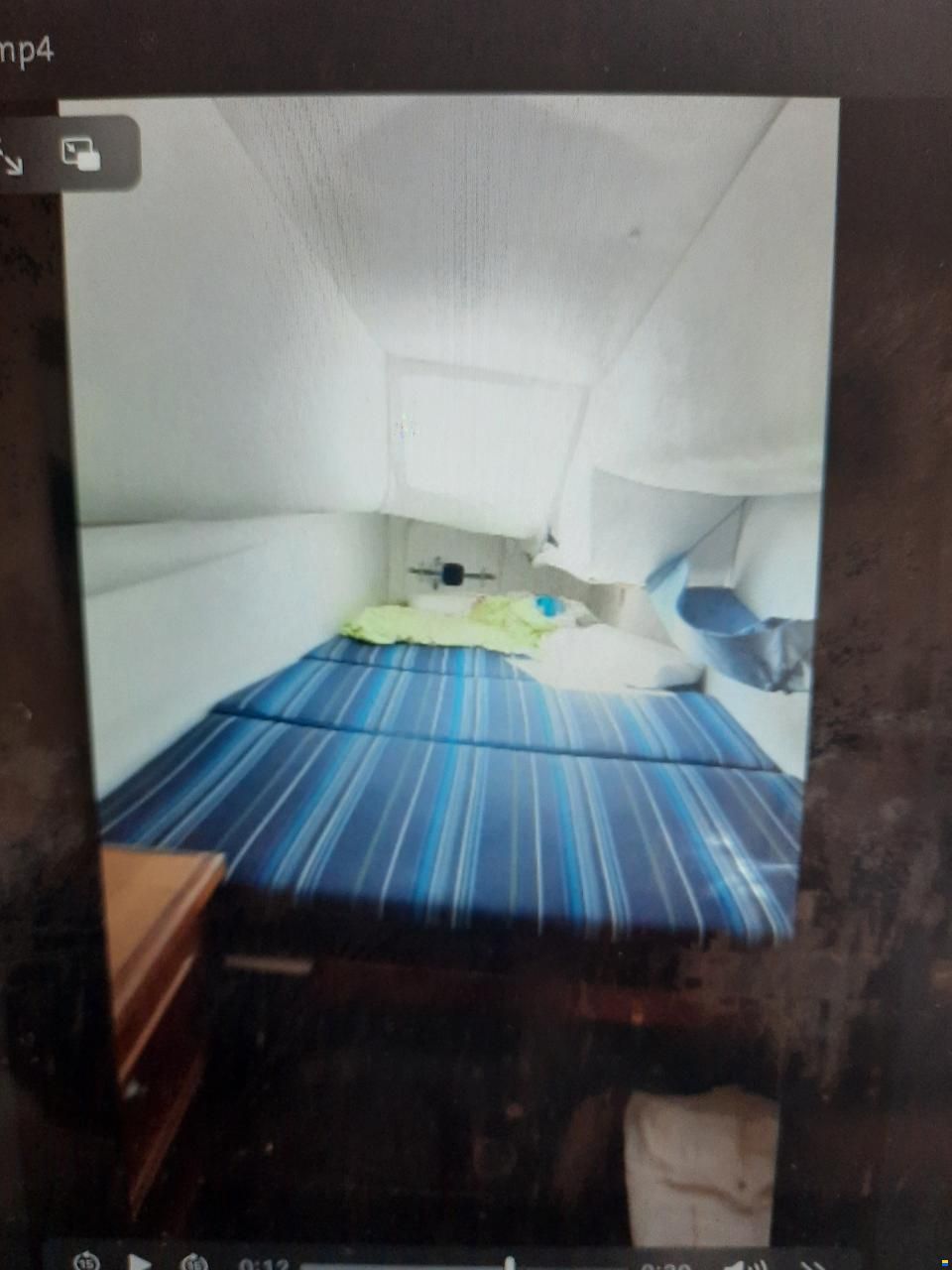 Prout Snow goose 37 Elite