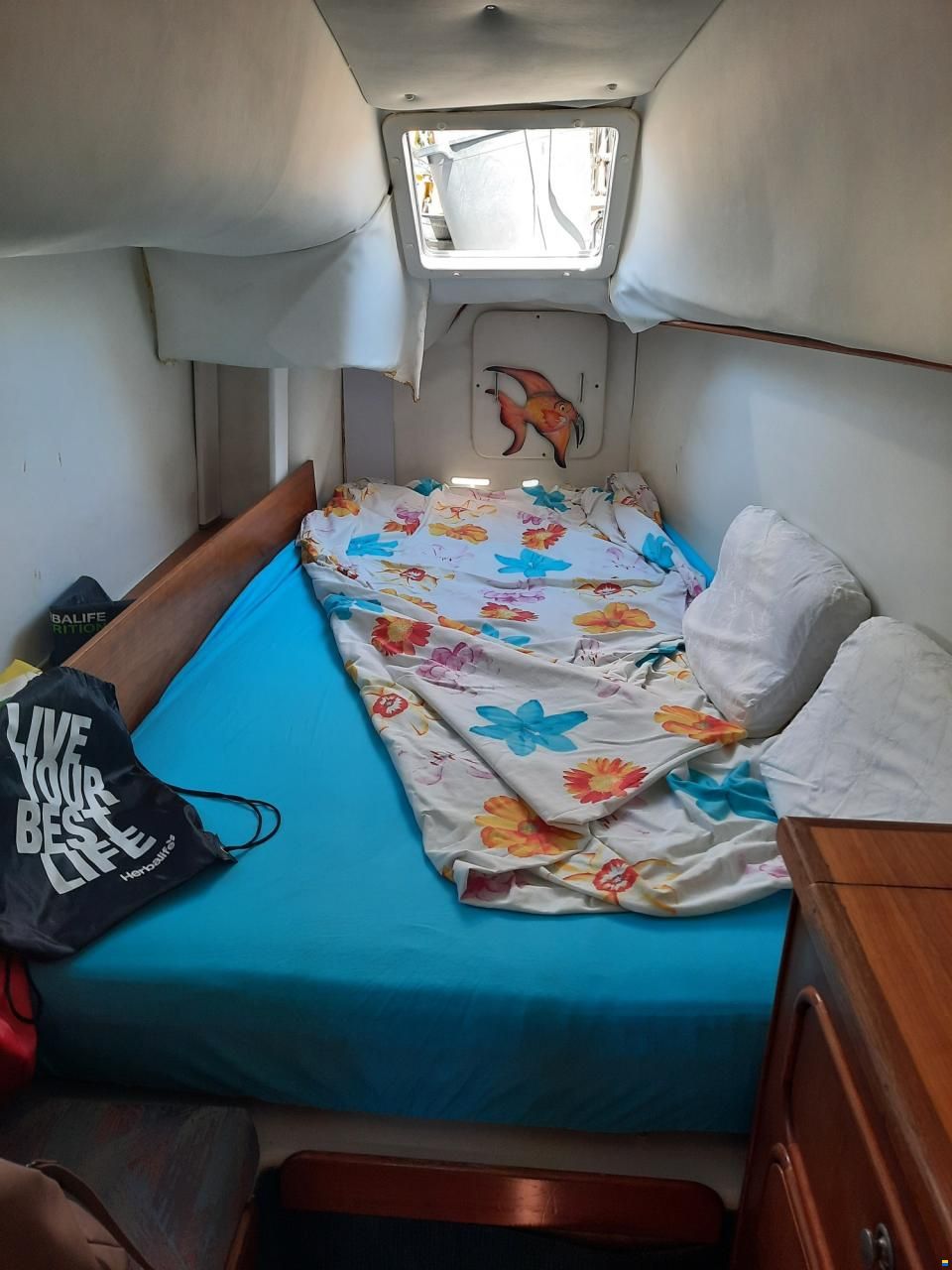 Prout Snow goose 37 Elite