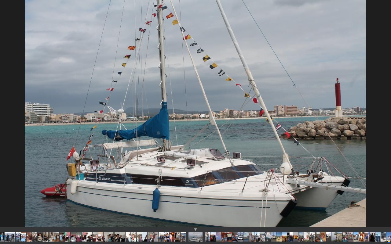 Prout Snow goose 37 Elite