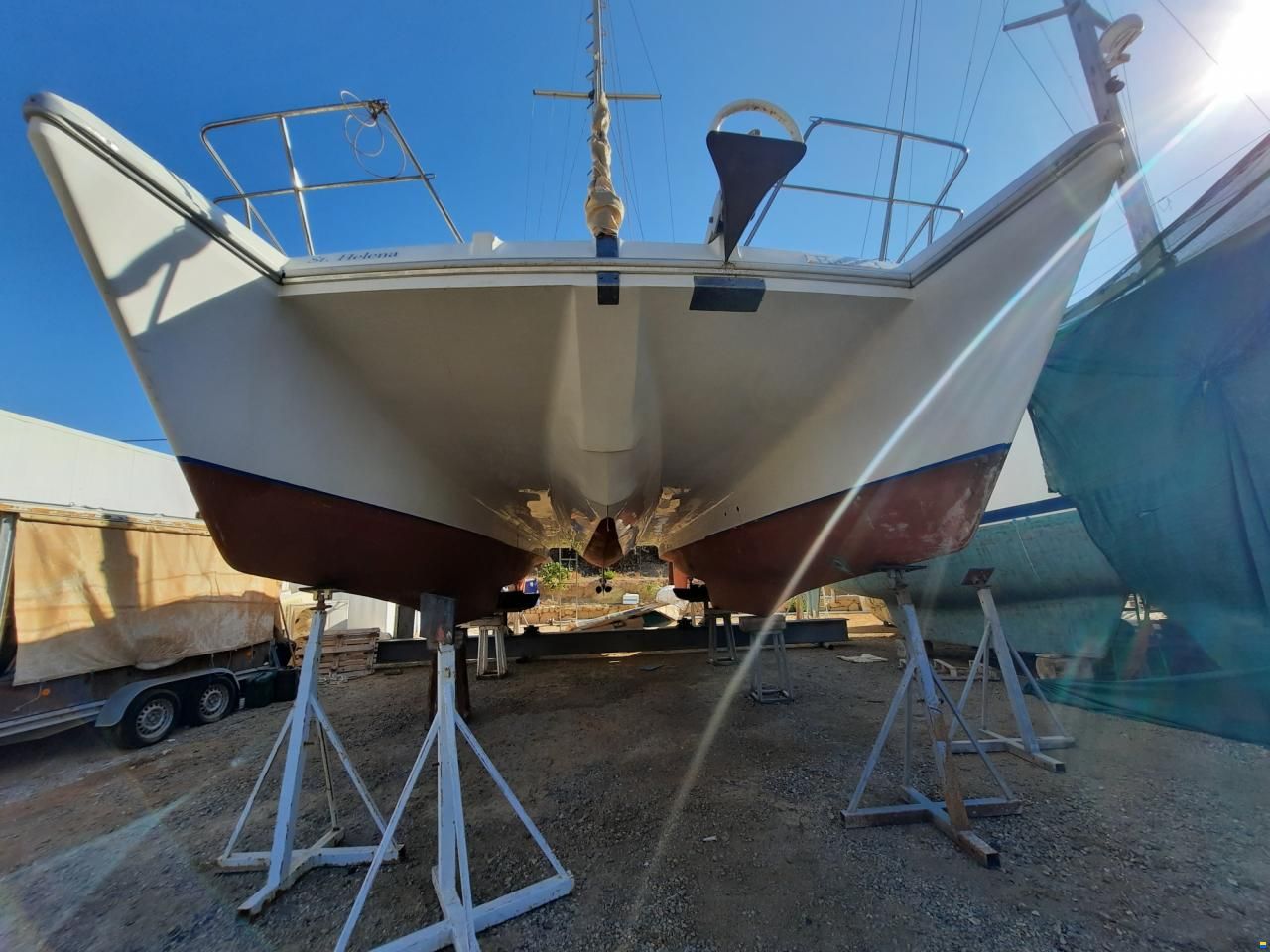 Prout Snow goose 37 Elite