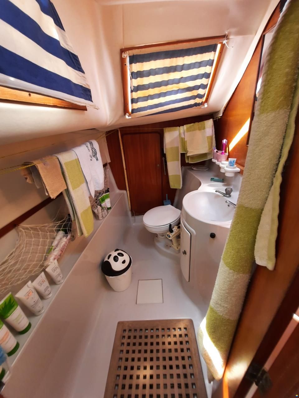 Prout Snow goose 37 Elite